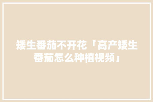矮生番茄不开花「高产矮生番茄怎么种植视频」 矮生番茄不开花「高产矮生番茄怎么种植视频」 花朵知识