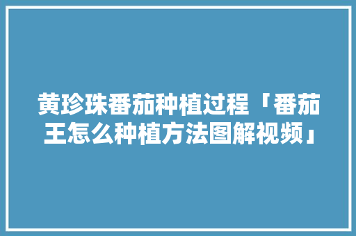 黄珍珠番茄种植过程「番茄王怎么种植方法图解视频」 黄珍珠番茄种植过程「番茄王怎么种植方法图解视频」 植物种类