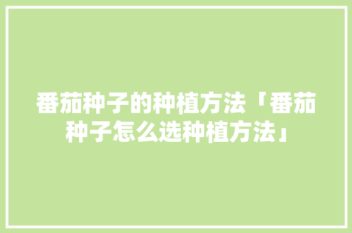 番茄种子的种植方法「番茄种子怎么选种植方法」 番茄种子的种植方法「番茄种子怎么选种植方法」 番茄种植技巧