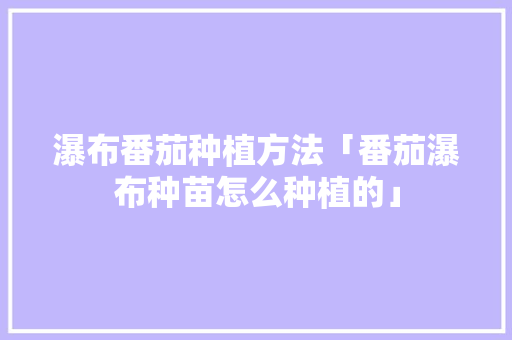 瀑布番茄种植方法「番茄瀑布种苗怎么种植的」 瀑布番茄种植方法「番茄瀑布种苗怎么种植的」 土壤施肥