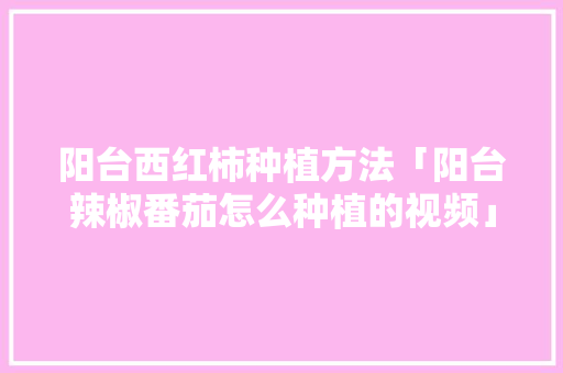 阳台西红柿种植方法「阳台辣椒番茄怎么种植的视频」 阳台西红柿种植方法「阳台辣椒番茄怎么种植的视频」 种植技巧