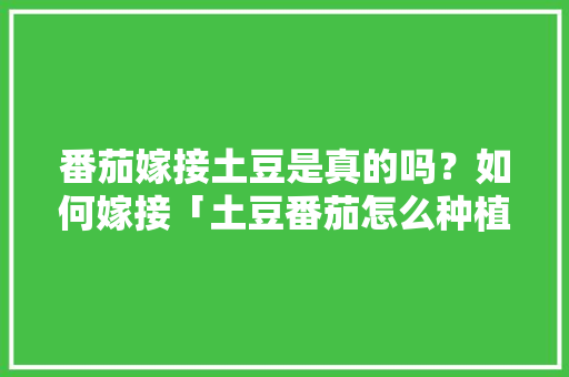 番茄嫁接土豆是真的吗？如何嫁接「土豆番茄怎么种植方法视频」 番茄嫁接土豆是真的吗？如何嫁接「土豆番茄怎么种植方法视频」 农业常识