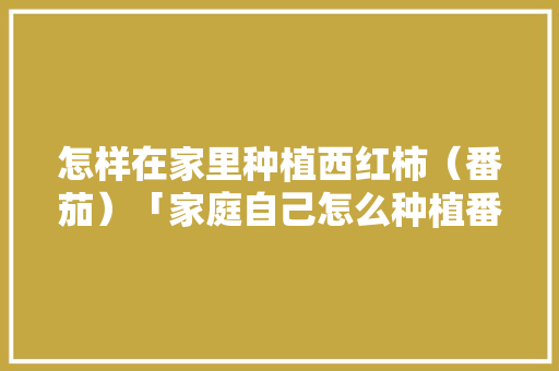 怎样在家里种植西红柿（番茄）「家庭自己怎么种植番茄种子」 怎样在家里种植西红柿（番茄）「家庭自己怎么种植番茄种子」 花朵知识