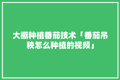 大棚种植番茄技术「番茄吊秧怎么种植的视频」 大棚种植番茄技术「番茄吊秧怎么种植的视频」 番茄病虫害防治