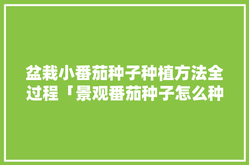 盆栽小番茄种子种植方法全过程「景观番茄种子怎么种植的视频」 盆栽小番茄种子种植方法全过程「景观番茄种子怎么种植的视频」 农业常识