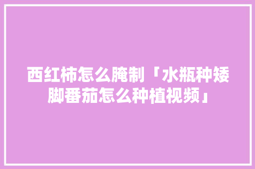西红柿怎么腌制「水瓶种矮脚番茄怎么种植视频」 西红柿怎么腌制「水瓶种矮脚番茄怎么种植视频」 种植技巧
