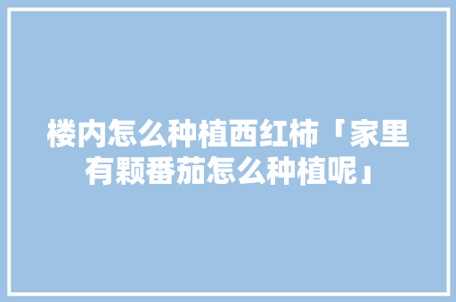 楼内怎么种植西红柿「家里有颗番茄怎么种植呢」 楼内怎么种植西红柿「家里有颗番茄怎么种植呢」 植物种类
