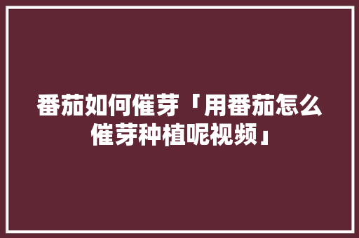 番茄如何催芽「用番茄怎么催芽种植呢视频」 番茄如何催芽「用番茄怎么催芽种植呢视频」 番茄种植技巧