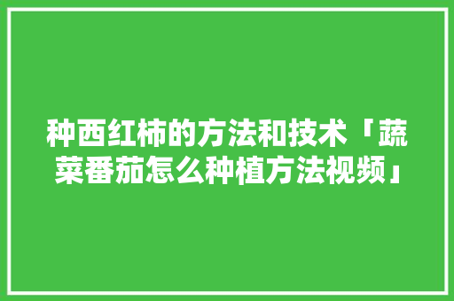种西红柿的方法和技术「蔬菜番茄怎么种植方法视频」