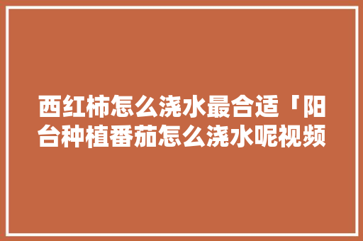 西红柿怎么浇水最合适「阳台种植番茄怎么浇水呢视频」 西红柿怎么浇水最合适「阳台种植番茄怎么浇水呢视频」 花朵知识