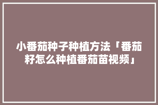 小番茄种子种植方法「番茄籽怎么种植番茄苗视频」 小番茄种子种植方法「番茄籽怎么种植番茄苗视频」 种植技巧