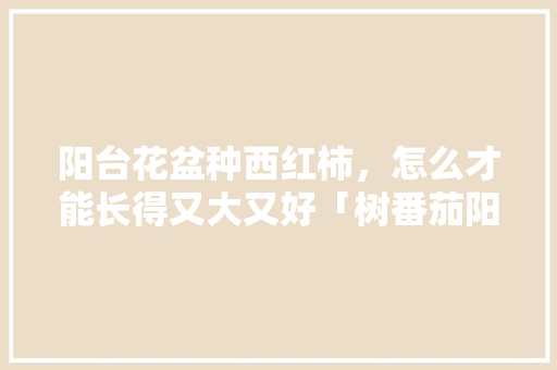 阳台花盆种西红柿，怎么才能长得又大又好「树番茄阳台怎么种植视频」 阳台花盆种西红柿，怎么才能长得又大又好「树番茄阳台怎么种植视频」 花朵知识