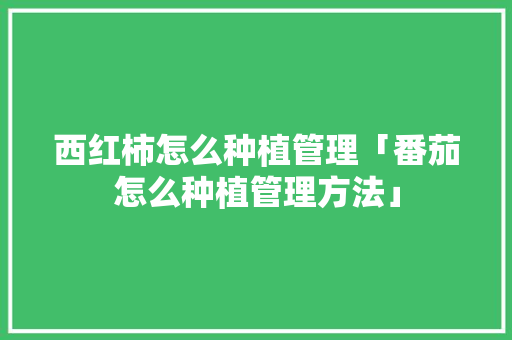 西红柿怎么种植管理「番茄怎么种植管理方法」 西红柿怎么种植管理「番茄怎么种植管理方法」 农业常识