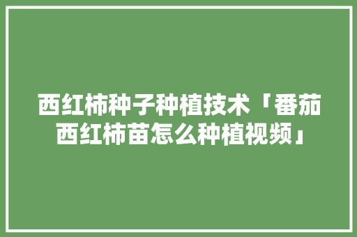 西红柿种子种植技术「番茄西红柿苗怎么种植视频」 西红柿种子种植技术「番茄西红柿苗怎么种植视频」 番茄病虫害防治