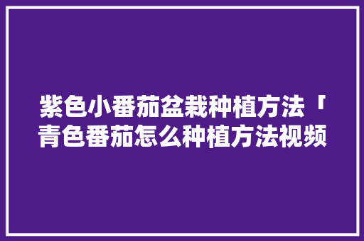 紫色小番茄盆栽种植方法「青色番茄怎么种植方法视频」 紫色小番茄盆栽种植方法「青色番茄怎么种植方法视频」 植物种类