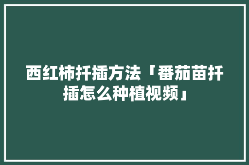 西红柿扦插方法「番茄苗扦插怎么种植视频」 植物种类 西红柿扦插方法「番茄苗扦插怎么种植视频」 西红柿扦插方法「番茄苗扦插怎么种植视频」 植物种类