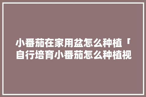 小番茄在家用盆怎么种植「自行培育小番茄怎么种植视频」 花朵知识