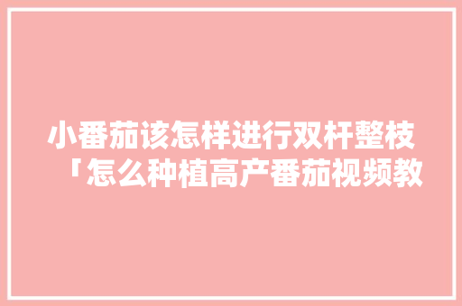 小番茄该怎样进行双杆整枝「怎么种植高产番茄视频教程」 小番茄该怎样进行双杆整枝「怎么种植高产番茄视频教程」 番茄种植技巧