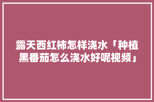 露天西红柿怎样浇水「种植黑番茄怎么浇水好呢视频」 露天西红柿怎样浇水「种植黑番茄怎么浇水好呢视频」 番茄病虫害防治