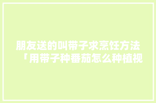 朋友送的叫带子求烹饪方法「用带子种番茄怎么种植视频」 朋友送的叫带子求烹饪方法「用带子种番茄怎么种植视频」 农业常识