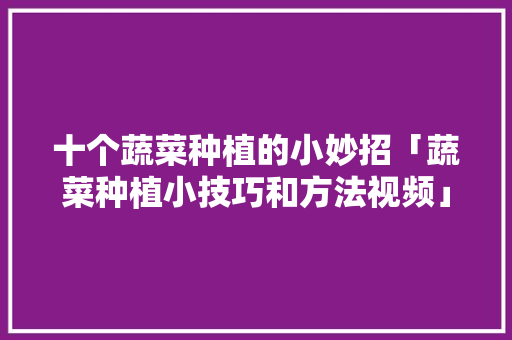 十个蔬菜种植的小妙招「蔬菜种植小技巧和方法视频」