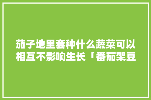 茄子地里套种什么蔬菜可以相互不影响生长「番茄架豆套种怎么种植的视频」 茄子地里套种什么蔬菜可以相互不影响生长「番茄架豆套种怎么种植的视频」 花朵知识