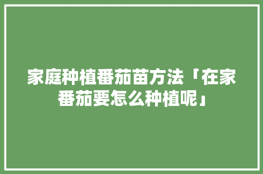 家庭种植番茄苗方法「在家番茄要怎么种植呢」 植物种类 家庭种植番茄苗方法「在家番茄要怎么种植呢」 家庭种植番茄苗方法「在家番茄要怎么种植呢」 植物种类