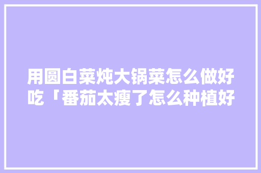 用圆白菜炖大锅菜怎么做好吃「番茄太瘦了怎么种植好吃呢」 用圆白菜炖大锅菜怎么做好吃「番茄太瘦了怎么种植好吃呢」 种植技巧