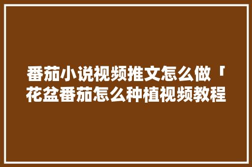 番茄小说视频推文怎么做「花盆番茄怎么种植视频教程」 番茄小说视频推文怎么做「花盆番茄怎么种植视频教程」 番茄病虫害防治
