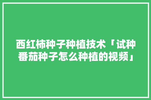 西红柿种子种植技术「试种番茄种子怎么种植的视频」 西红柿种子种植技术「试种番茄种子怎么种植的视频」 土壤施肥