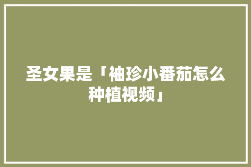 圣女果是「袖珍小番茄怎么种植视频」 圣女果是「袖珍小番茄怎么种植视频」 农业常识