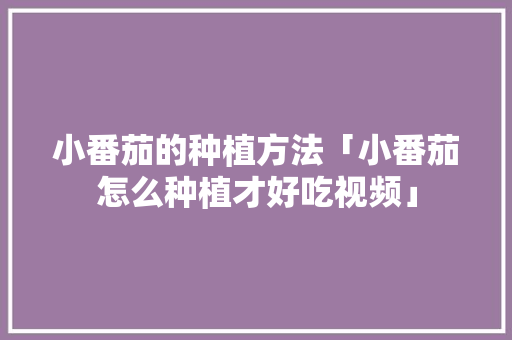 小番茄的种植方法「小番茄怎么种植才好吃视频」 小番茄的种植方法「小番茄怎么种植才好吃视频」 农业常识