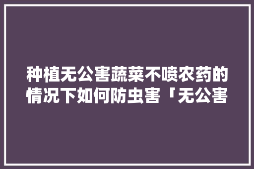 种植无公害蔬菜不喷农药的情况下如何防虫害「无公害绿色蔬菜种植技巧和方法」 番茄病虫害防治 种植无公害蔬菜不喷农药的情况下如何防虫害「无公害绿色蔬菜种植技巧和方法」 种植无公害蔬菜不喷农药的情况下如何防虫害「无公害绿色蔬菜种植技巧和方法」 番茄病虫害防治