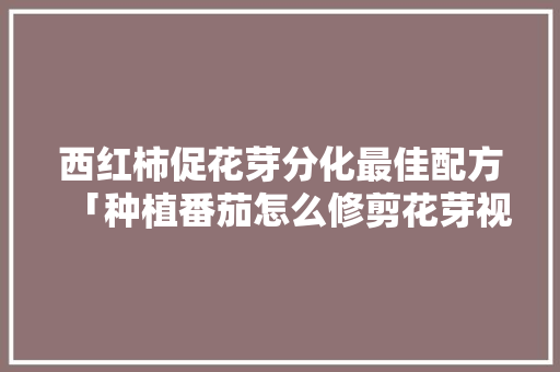 西红柿促花芽分化最佳配方「种植番茄怎么修剪花芽视频」