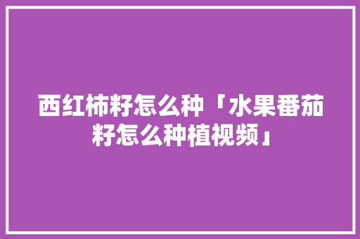 西红柿籽怎么种「水果番茄籽怎么种植视频」 西红柿籽怎么种「水果番茄籽怎么种植视频」 番茄病虫害防治