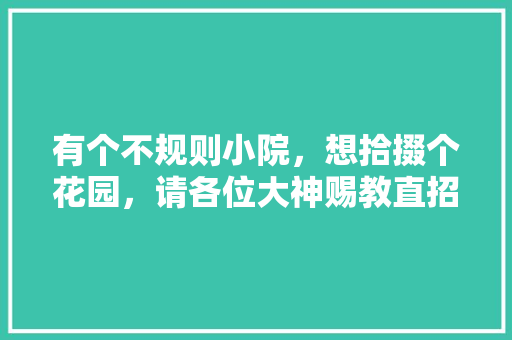 有个不规则小院，想拾掇个花园，请各位大神赐教直招！🙏🙏「小番茄种月季怎么种植视频」