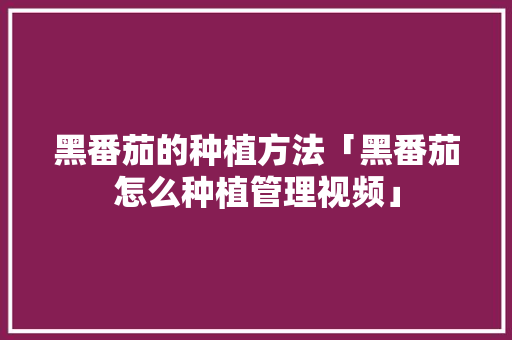 黑番茄的种植方法「黑番茄怎么种植管理视频」 黑番茄的种植方法「黑番茄怎么种植管理视频」 种植技巧