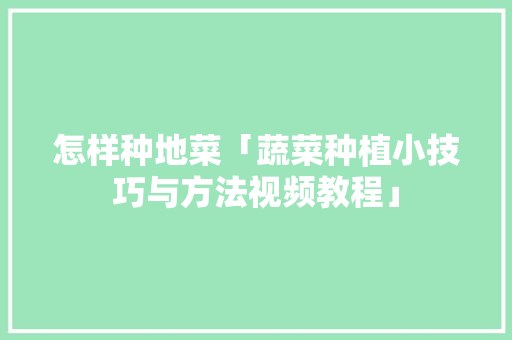 怎样种地菜「蔬菜种植小技巧与方法视频教程」 怎样种地菜「蔬菜种植小技巧与方法视频教程」 农业常识