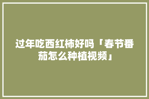 过年吃西红柿好吗「春节番茄怎么种植视频」 过年吃西红柿好吗「春节番茄怎么种植视频」 番茄种植技巧