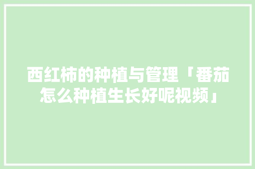 西红柿的种植与管理「番茄怎么种植生长好呢视频」 西红柿的种植与管理「番茄怎么种植生长好呢视频」 番茄病虫害防治