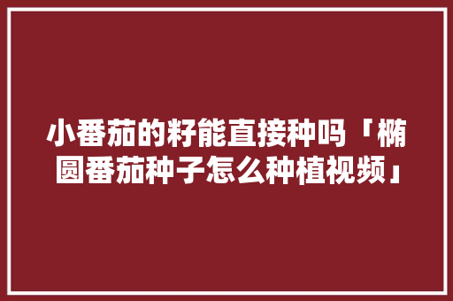 小番茄的籽能直接种吗「椭圆番茄种子怎么种植视频」 植物种类 小番茄的籽能直接种吗「椭圆番茄种子怎么种植视频」 小番茄的籽能直接种吗「椭圆番茄种子怎么种植视频」 植物种类
