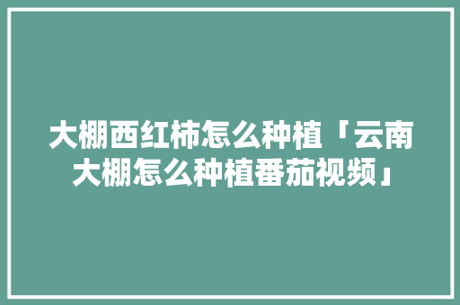 大棚西红柿怎么种植「云南大棚怎么种植番茄视频」 大棚西红柿怎么种植「云南大棚怎么种植番茄视频」 番茄种植技巧