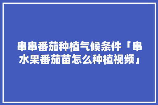 串串番茄种植气候条件「串水果番茄苗怎么种植视频」 串串番茄种植气候条件「串水果番茄苗怎么种植视频」 番茄种植技巧