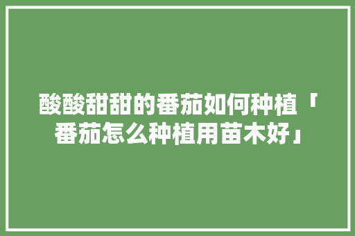 酸酸甜甜的番茄如何种植「番茄怎么种植用苗木好」 酸酸甜甜的番茄如何种植「番茄怎么种植用苗木好」 植物种类