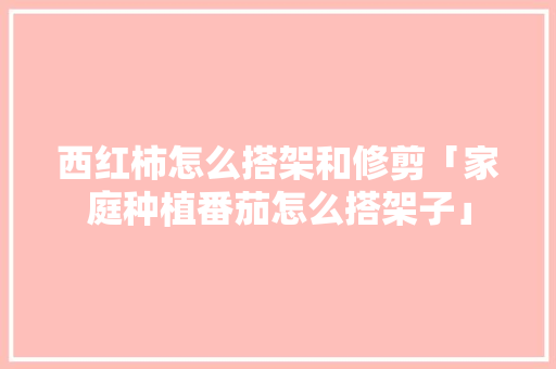 西红柿怎么搭架和修剪「家庭种植番茄怎么搭架子」 西红柿怎么搭架和修剪「家庭种植番茄怎么搭架子」 种植技巧