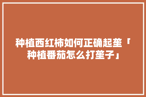 种植西红柿如何正确起垄「种植番茄怎么打垄子」 种植西红柿如何正确起垄「种植番茄怎么打垄子」 花朵知识