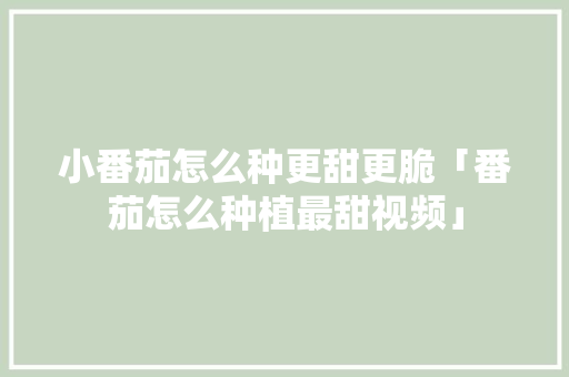 小番茄怎么种更甜更脆「番茄怎么种植最甜视频」 小番茄怎么种更甜更脆「番茄怎么种植最甜视频」 植物种类