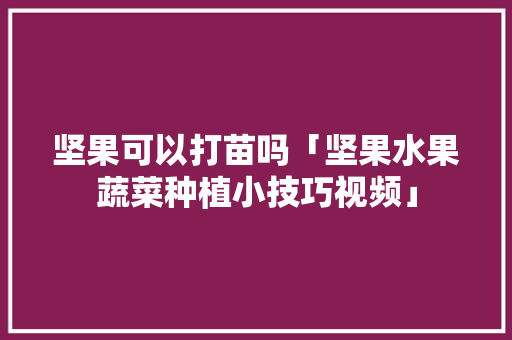 坚果可以打苗吗「坚果水果蔬菜种植小技巧视频」