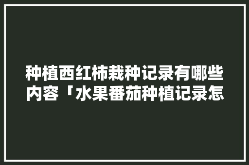 种植西红柿栽种记录有哪些内容「水果番茄种植记录怎么写的」 种植西红柿栽种记录有哪些内容「水果番茄种植记录怎么写的」 种植技巧