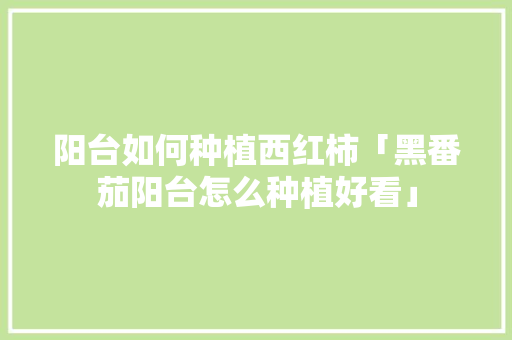 阳台如何种植西红柿「黑番茄阳台怎么种植好看」 阳台如何种植西红柿「黑番茄阳台怎么种植好看」 土壤施肥